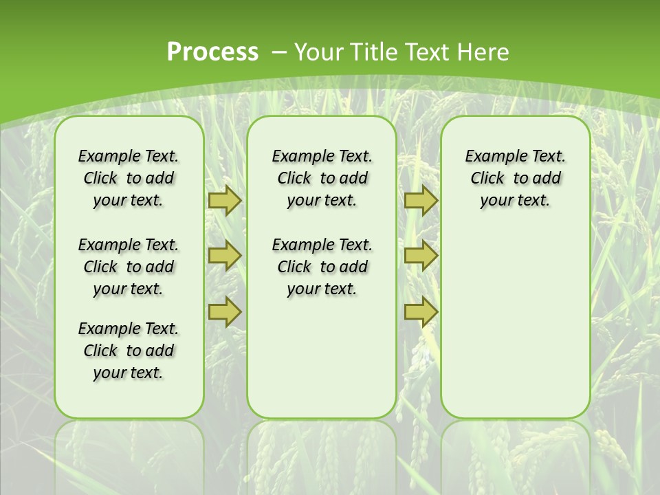 Leaf Primary Lush PowerPoint Template