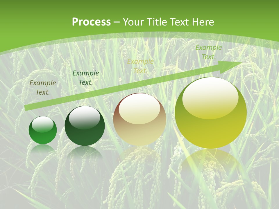 Leaf Primary Lush PowerPoint Template