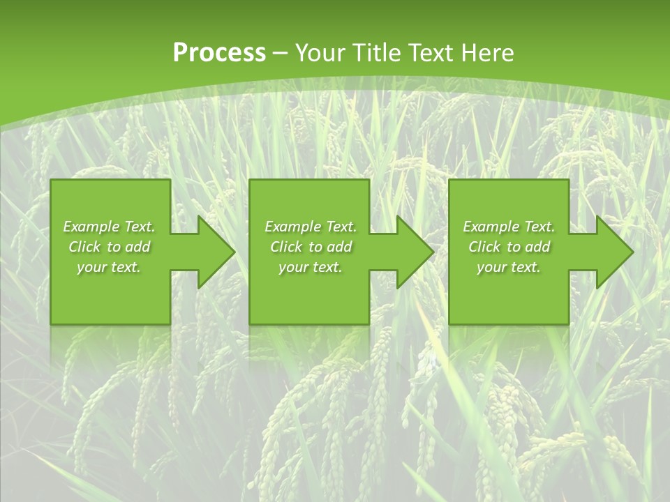 Leaf Primary Lush PowerPoint Template