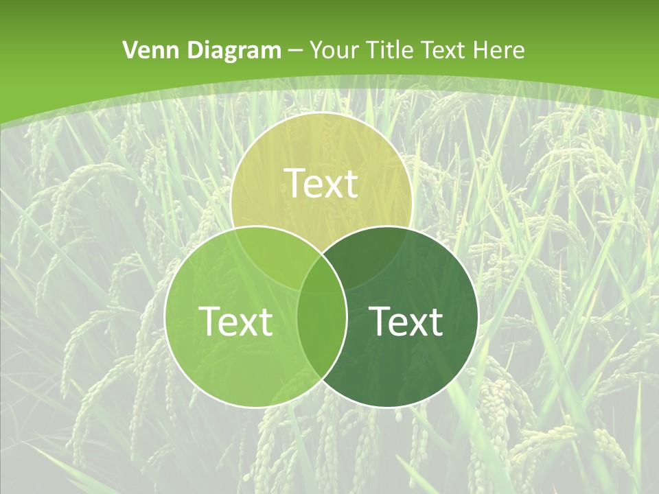 Leaf Primary Lush PowerPoint Template