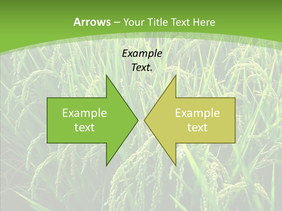 Leaf Primary Lush PowerPoint Template