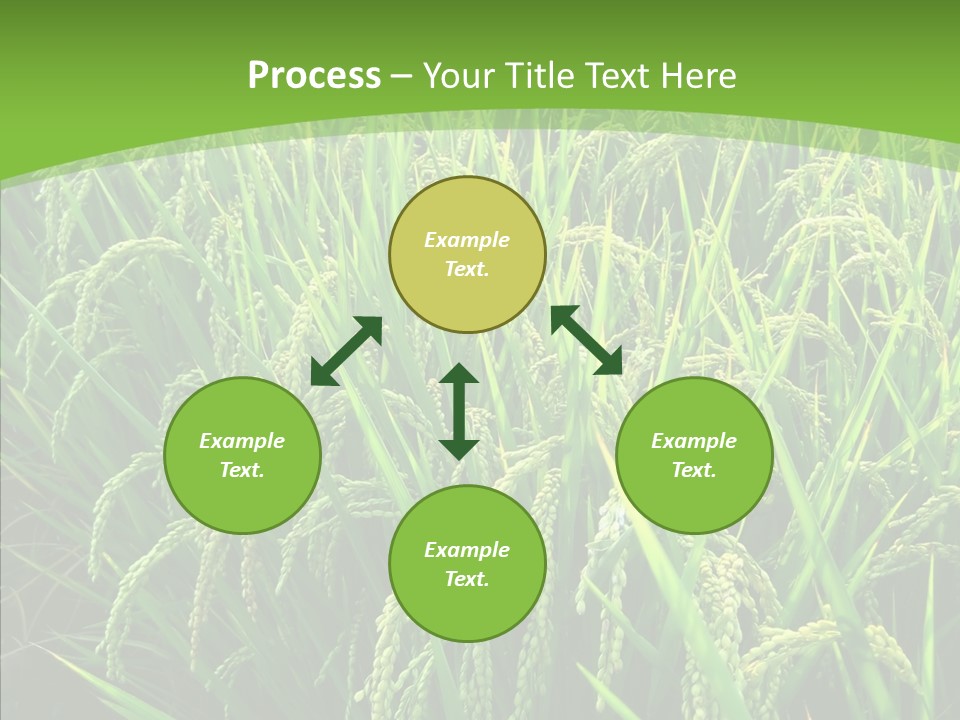Leaf Primary Lush PowerPoint Template