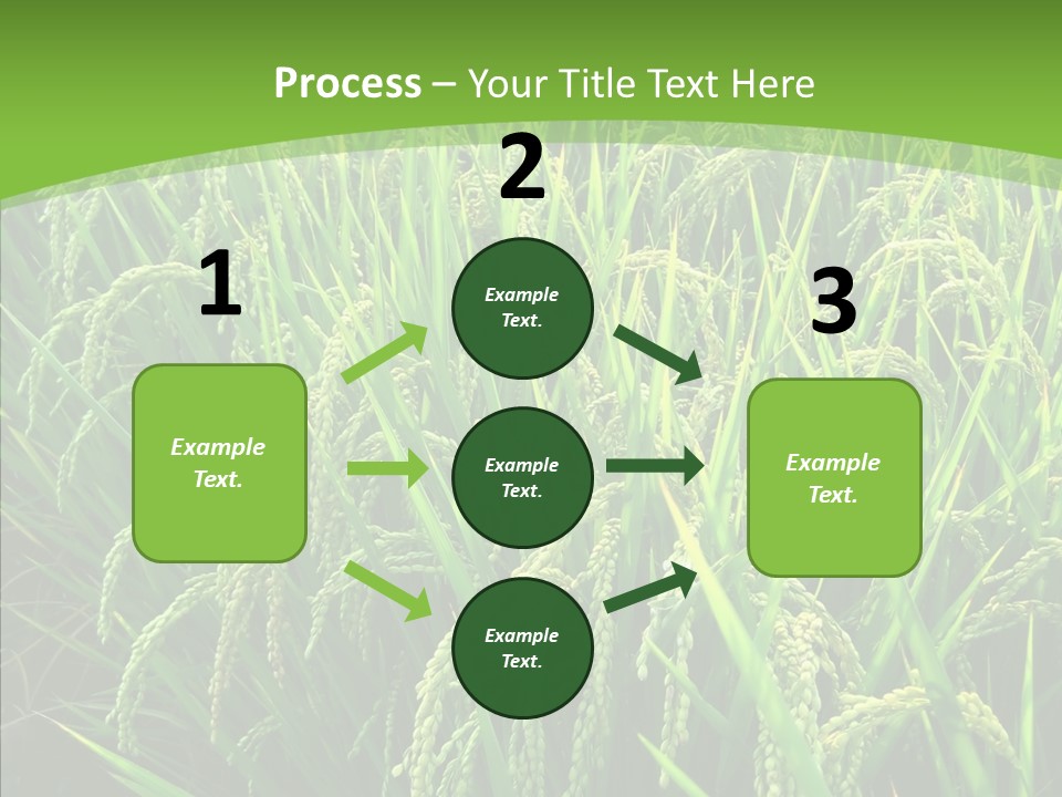 Leaf Primary Lush PowerPoint Template