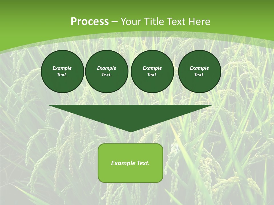 Leaf Primary Lush PowerPoint Template