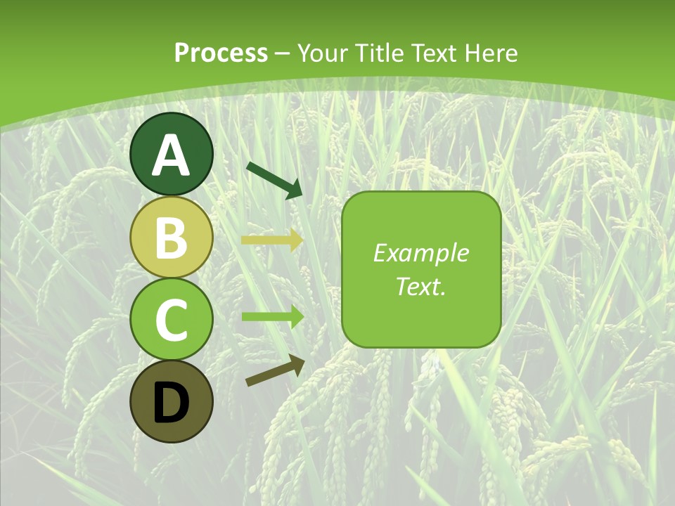 Leaf Primary Lush PowerPoint Template