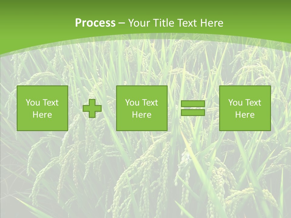 Leaf Primary Lush PowerPoint Template