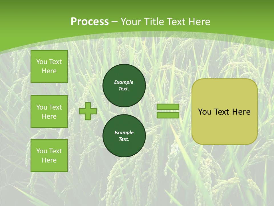 Leaf Primary Lush PowerPoint Template