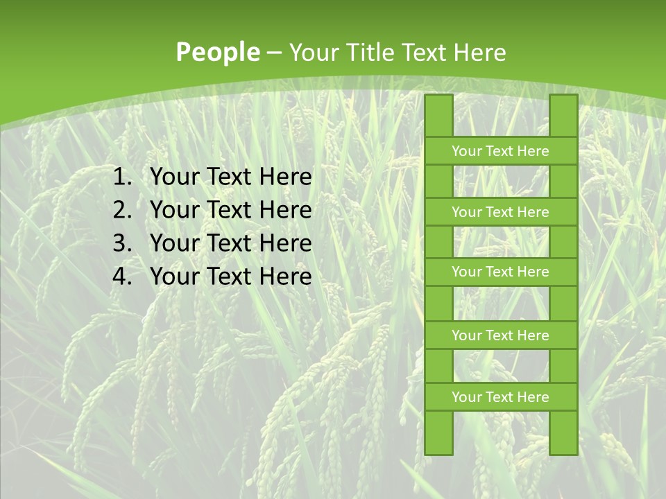 Leaf Primary Lush PowerPoint Template