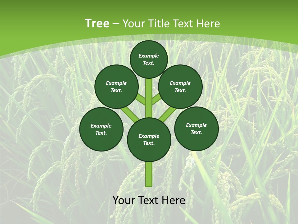 Leaf Primary Lush PowerPoint Template