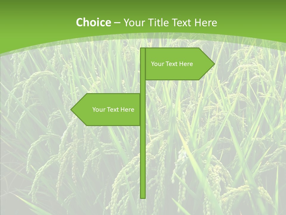 Leaf Primary Lush PowerPoint Template