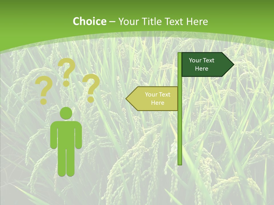 Leaf Primary Lush PowerPoint Template