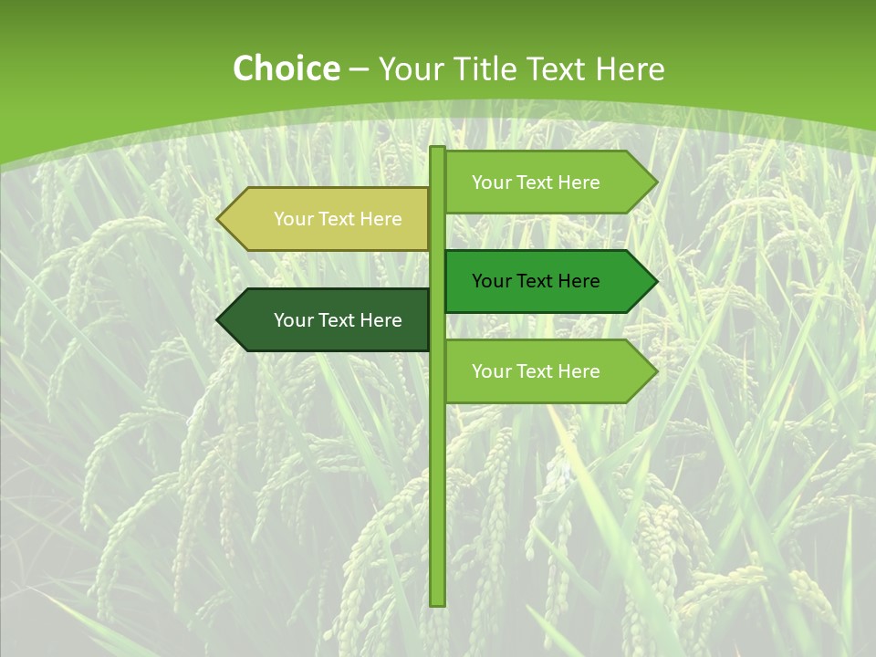 Leaf Primary Lush PowerPoint Template