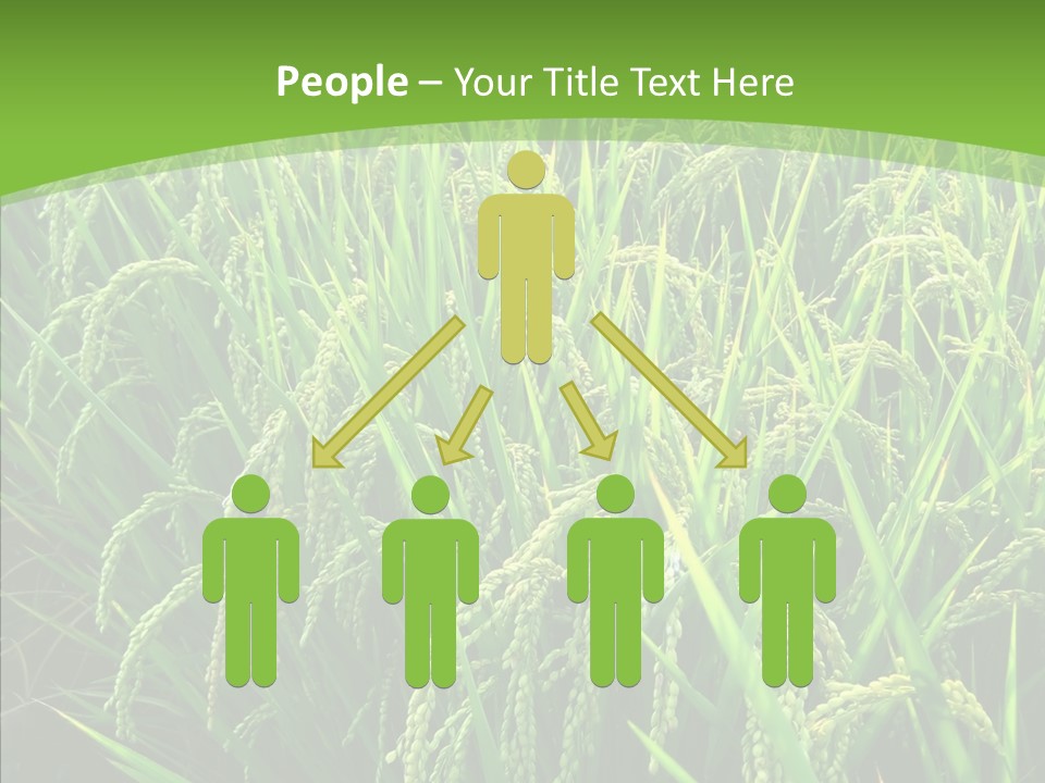 Leaf Primary Lush PowerPoint Template