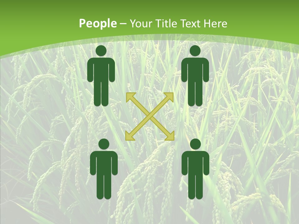 Leaf Primary Lush PowerPoint Template