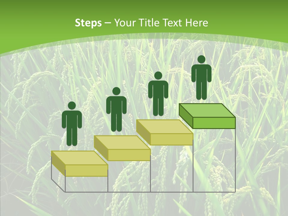 Leaf Primary Lush PowerPoint Template