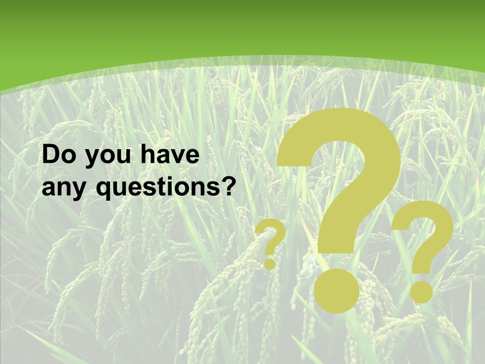 Leaf Primary Lush PowerPoint Template