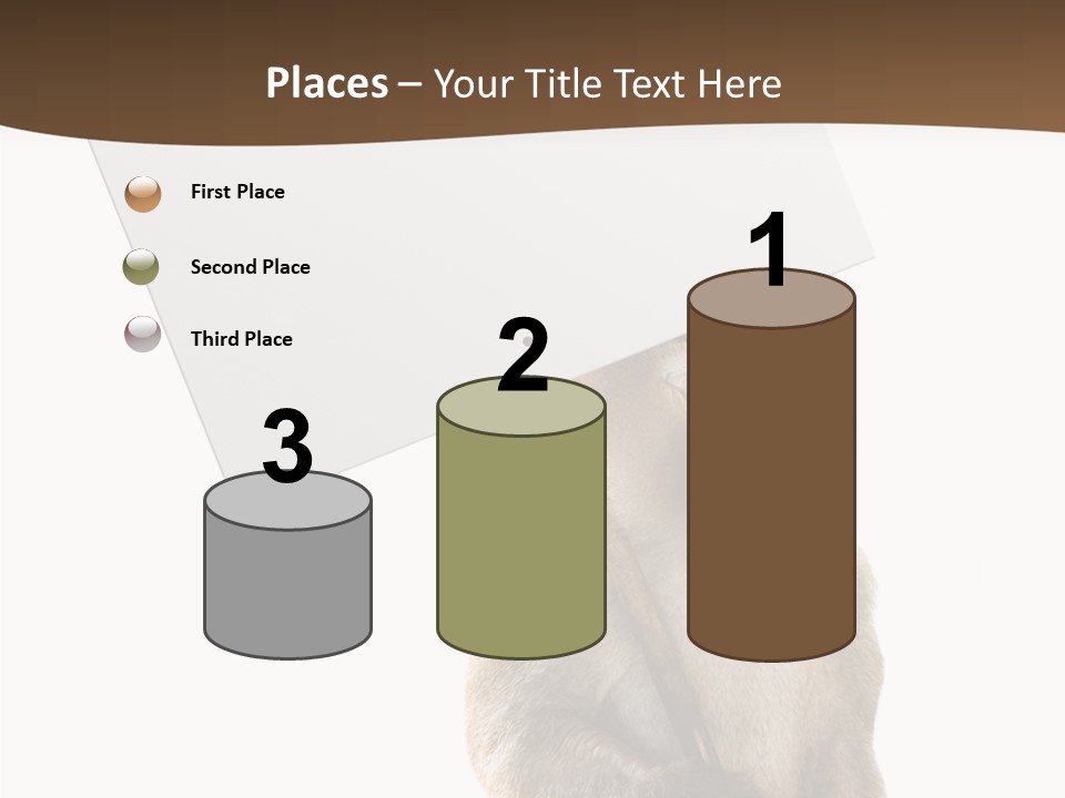 Hold Empty Animal PowerPoint Template