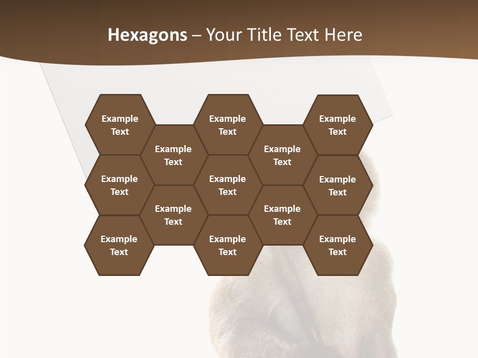 Hold Empty Animal PowerPoint Template