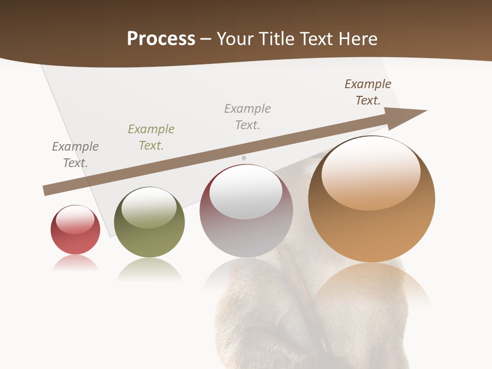 Hold Empty Animal PowerPoint Template