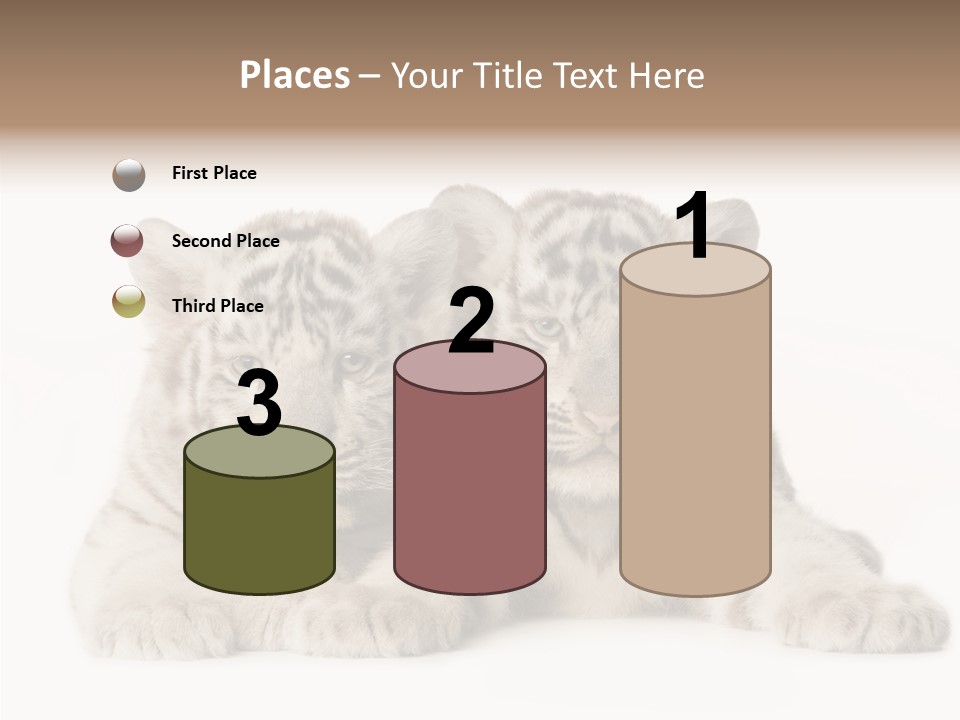 Whisker Young Big PowerPoint Template