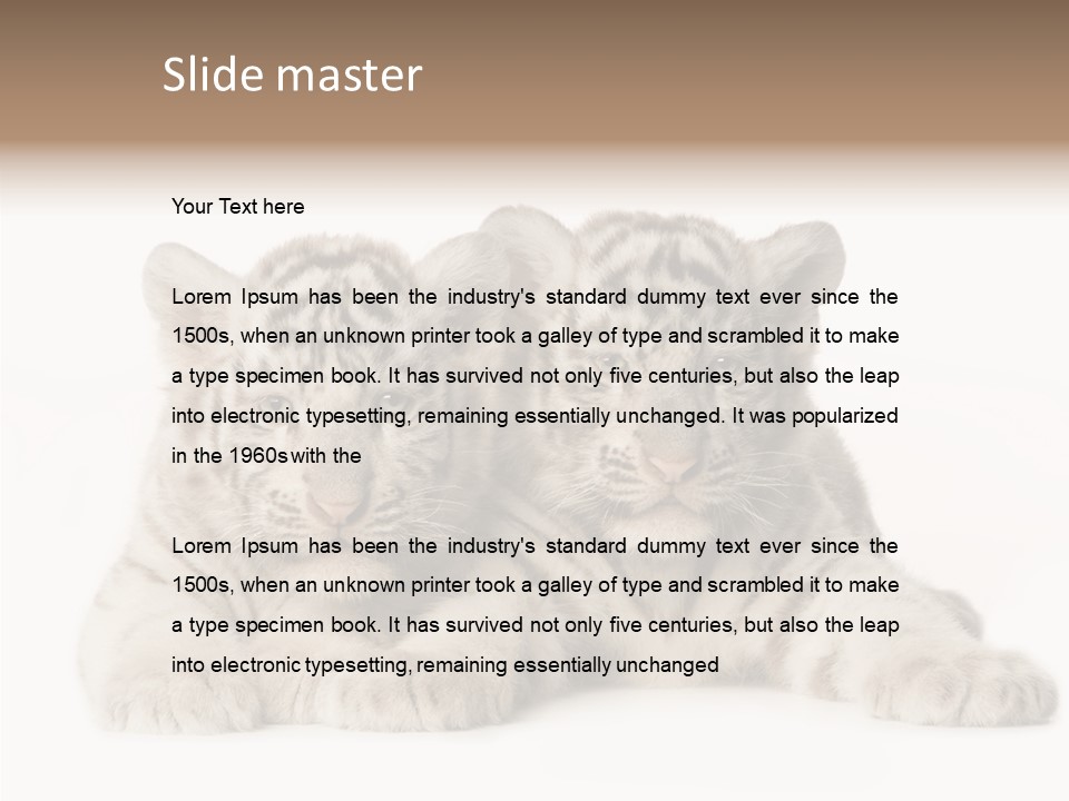 Whisker Young Big PowerPoint Template