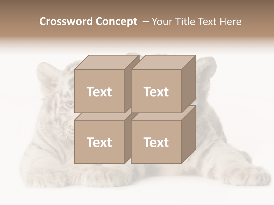 Whisker Young Big PowerPoint Template