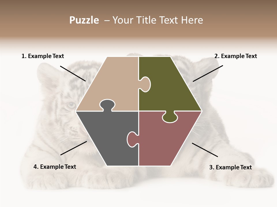 Whisker Young Big PowerPoint Template