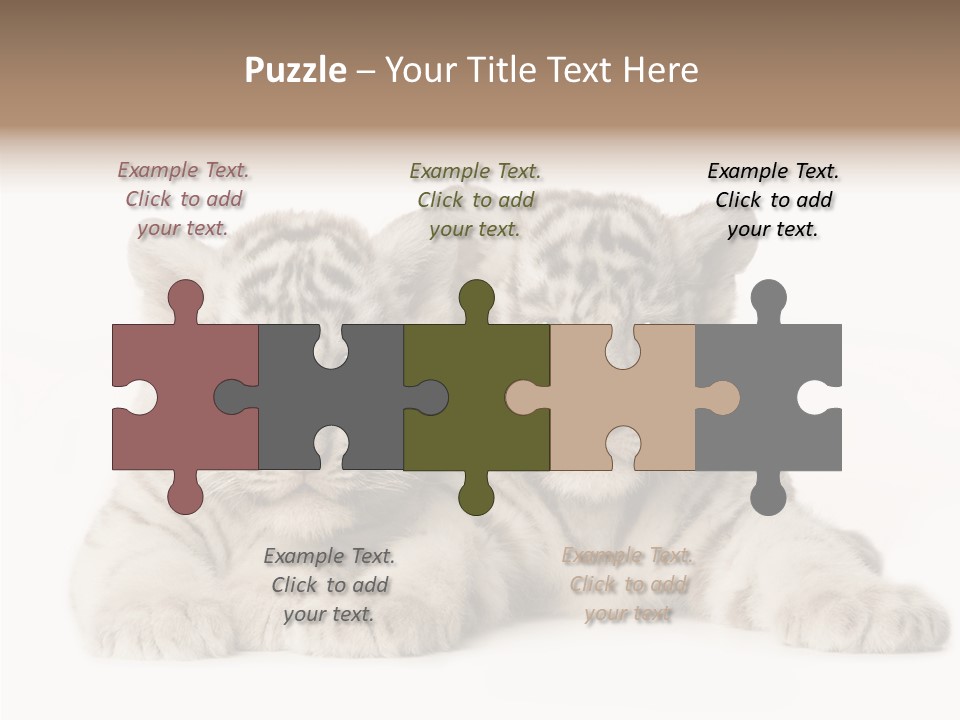 Whisker Young Big PowerPoint Template