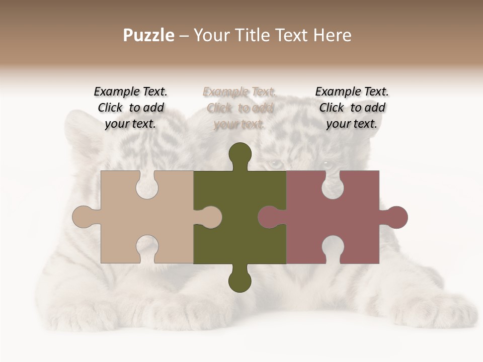 Whisker Young Big PowerPoint Template