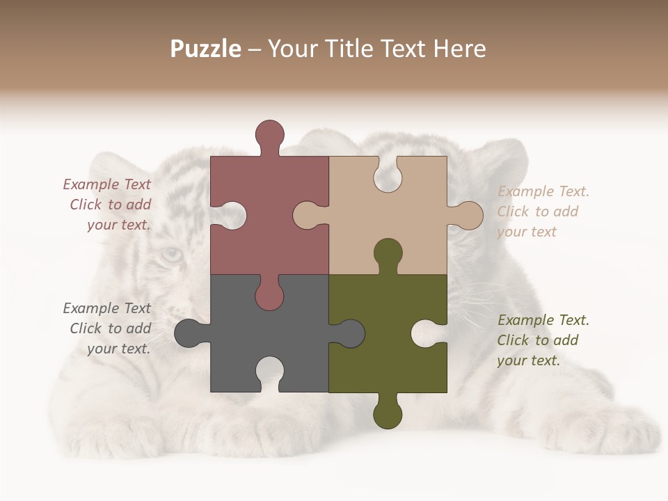 Whisker Young Big PowerPoint Template