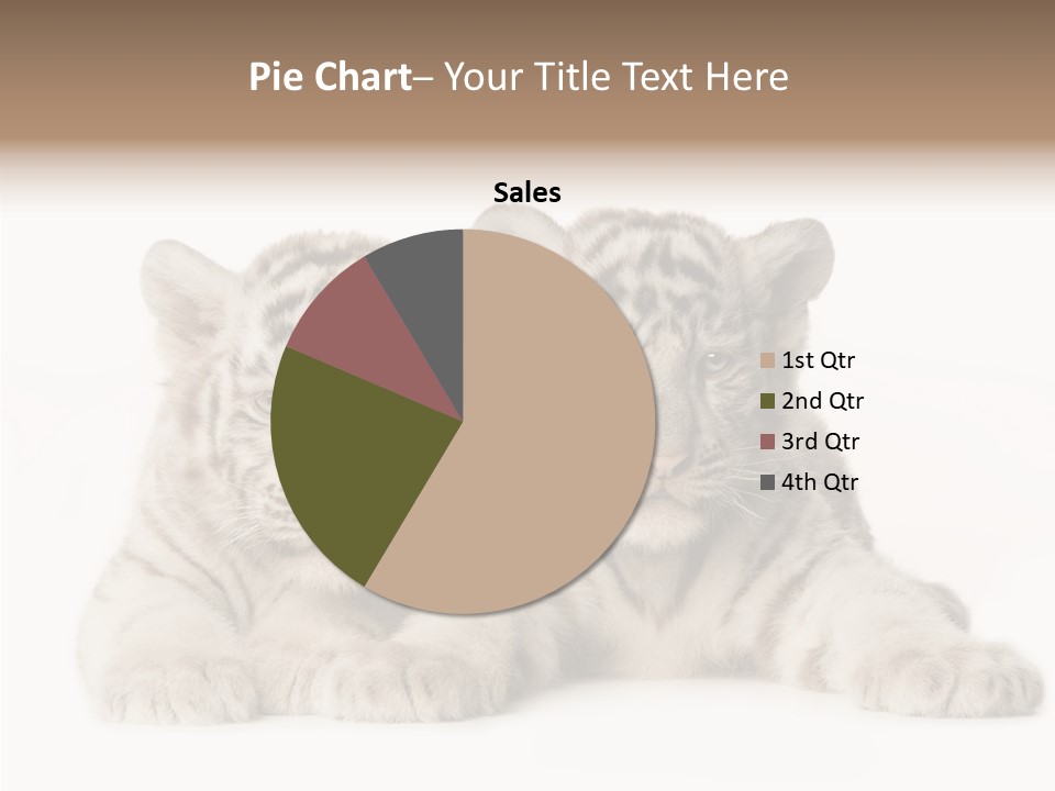 Whisker Young Big PowerPoint Template