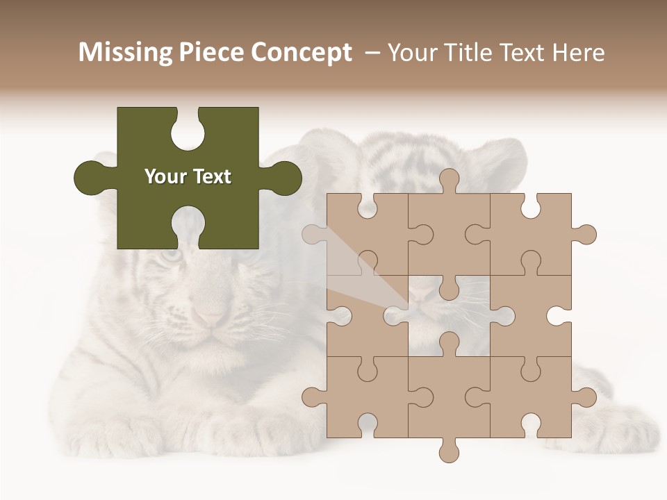 Whisker Young Big PowerPoint Template