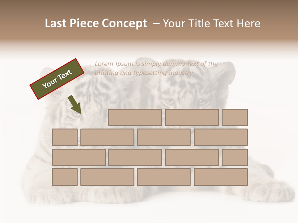 Whisker Young Big PowerPoint Template