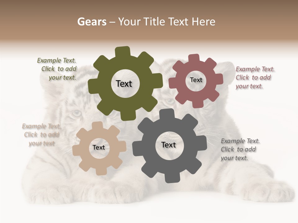 Whisker Young Big PowerPoint Template