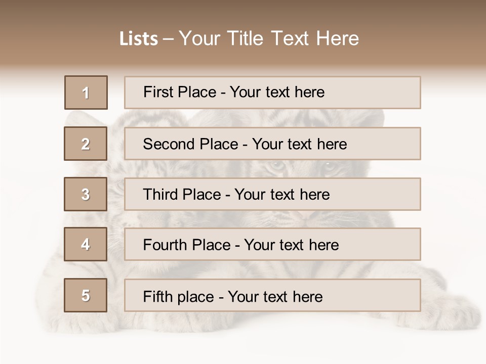Whisker Young Big PowerPoint Template