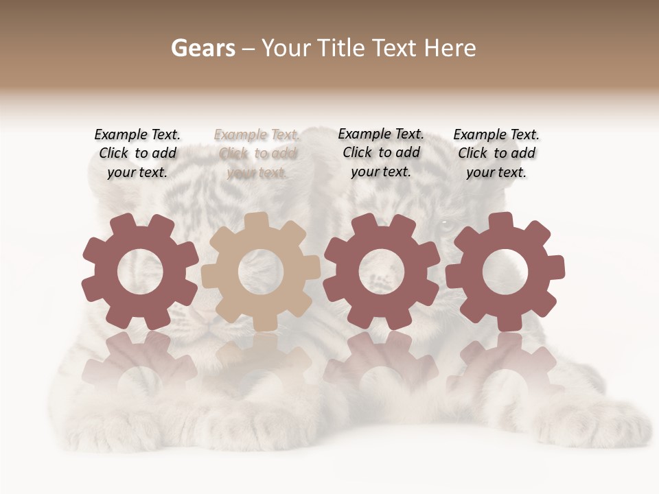 Whisker Young Big PowerPoint Template