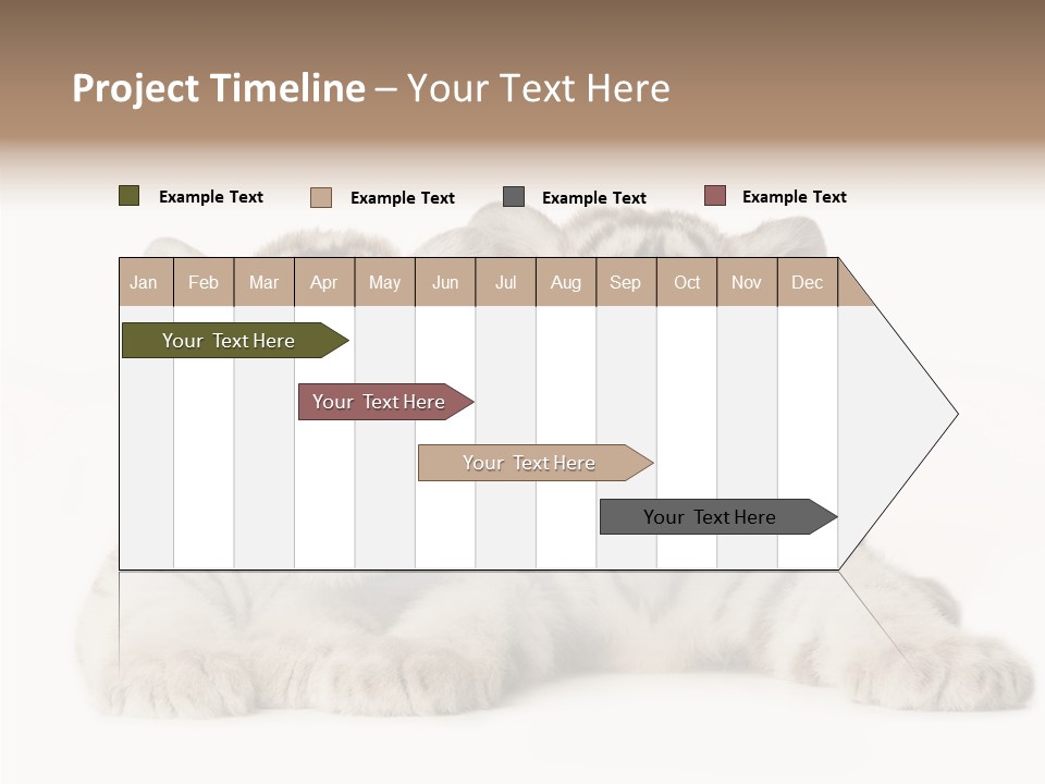 Whisker Young Big PowerPoint Template