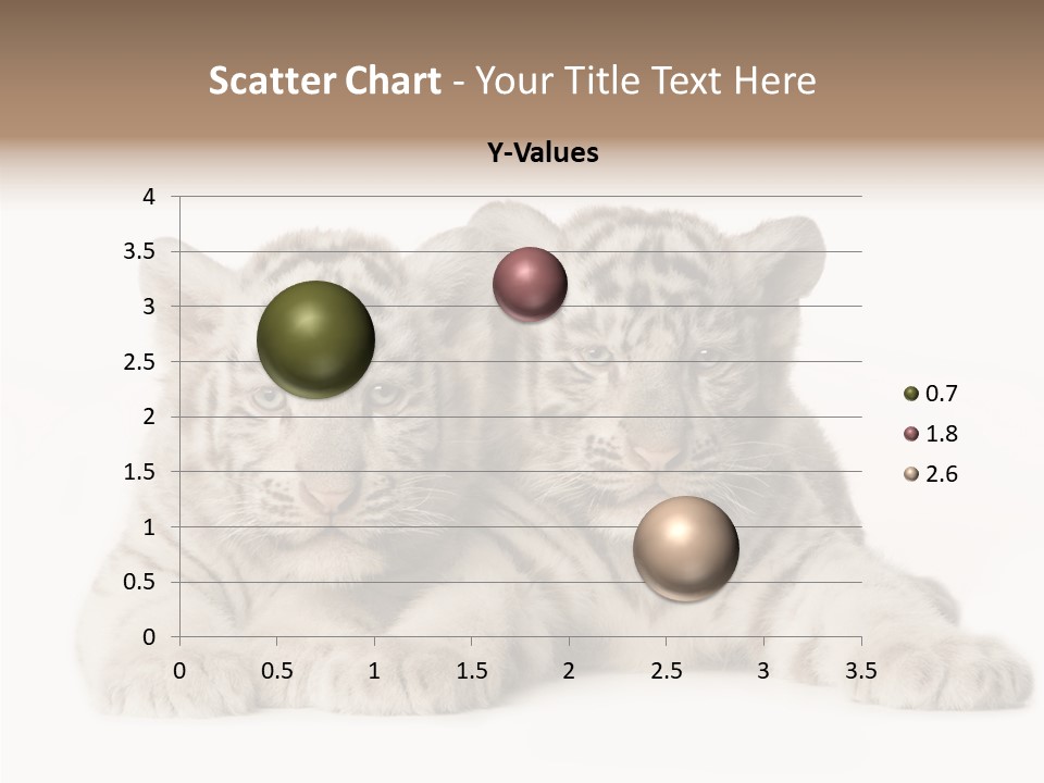Whisker Young Big PowerPoint Template