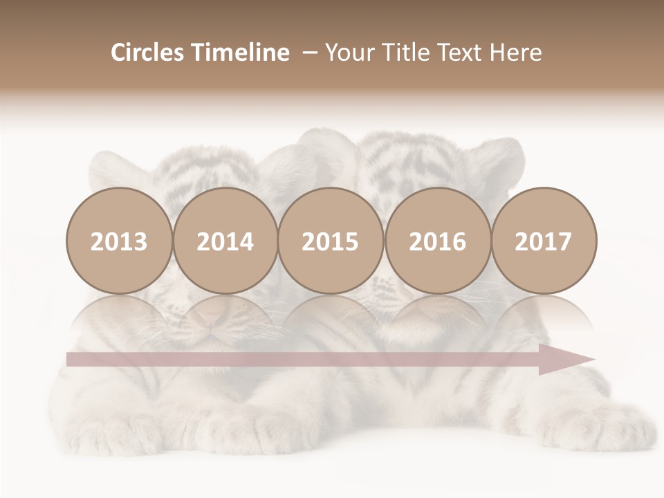 Whisker Young Big PowerPoint Template