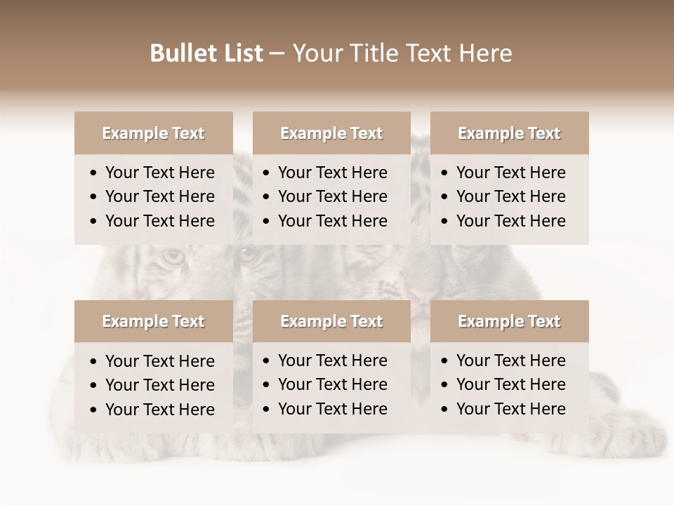 Whisker Young Big PowerPoint Template