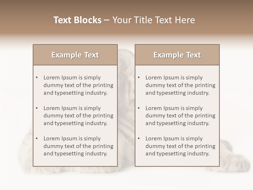 Whisker Young Big PowerPoint Template