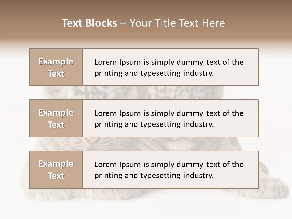 Whisker Young Big PowerPoint Template