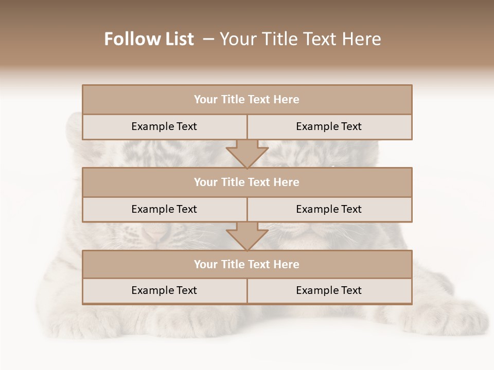 Whisker Young Big PowerPoint Template