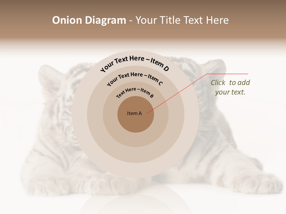 Whisker Young Big PowerPoint Template