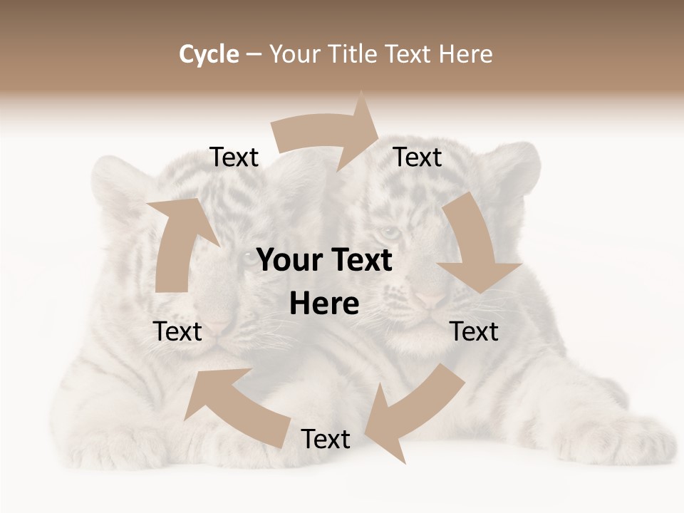 Whisker Young Big PowerPoint Template