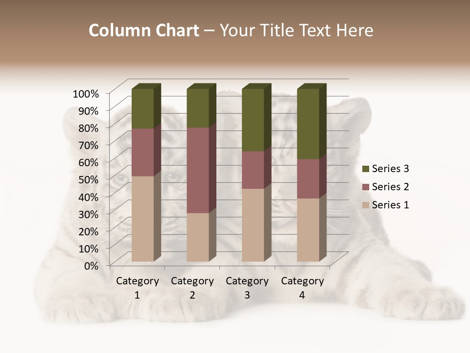 Whisker Young Big PowerPoint Template