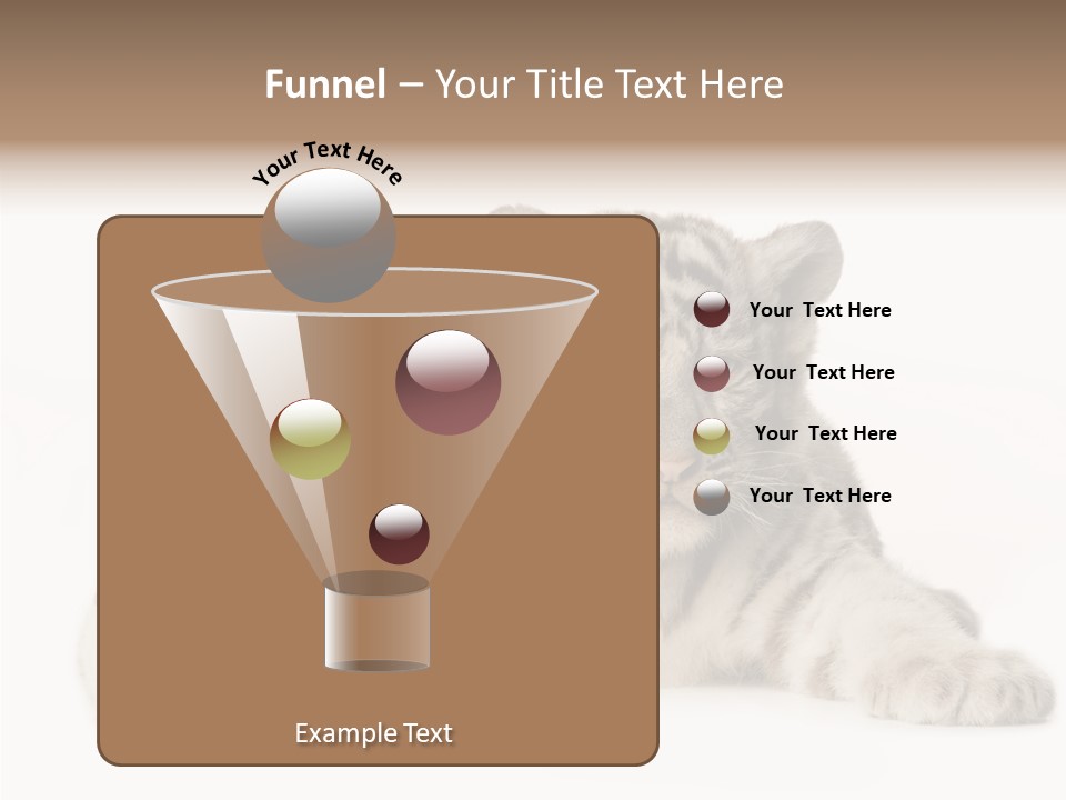 Whisker Young Big PowerPoint Template