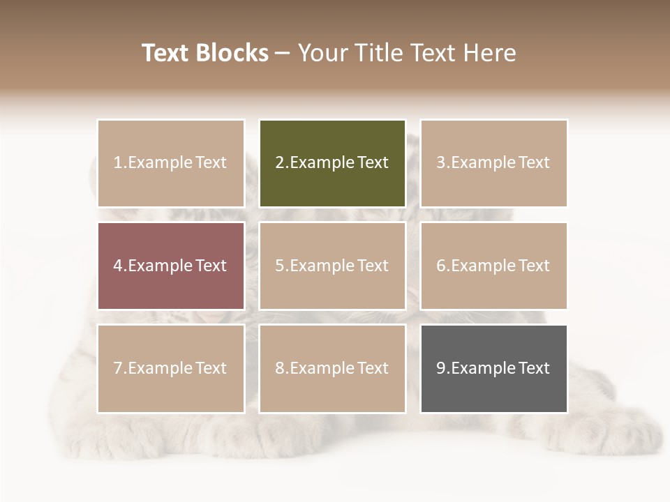 Whisker Young Big PowerPoint Template