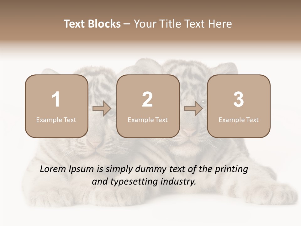 Whisker Young Big PowerPoint Template