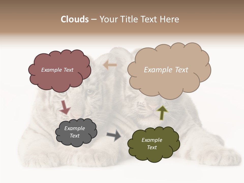 Whisker Young Big PowerPoint Template